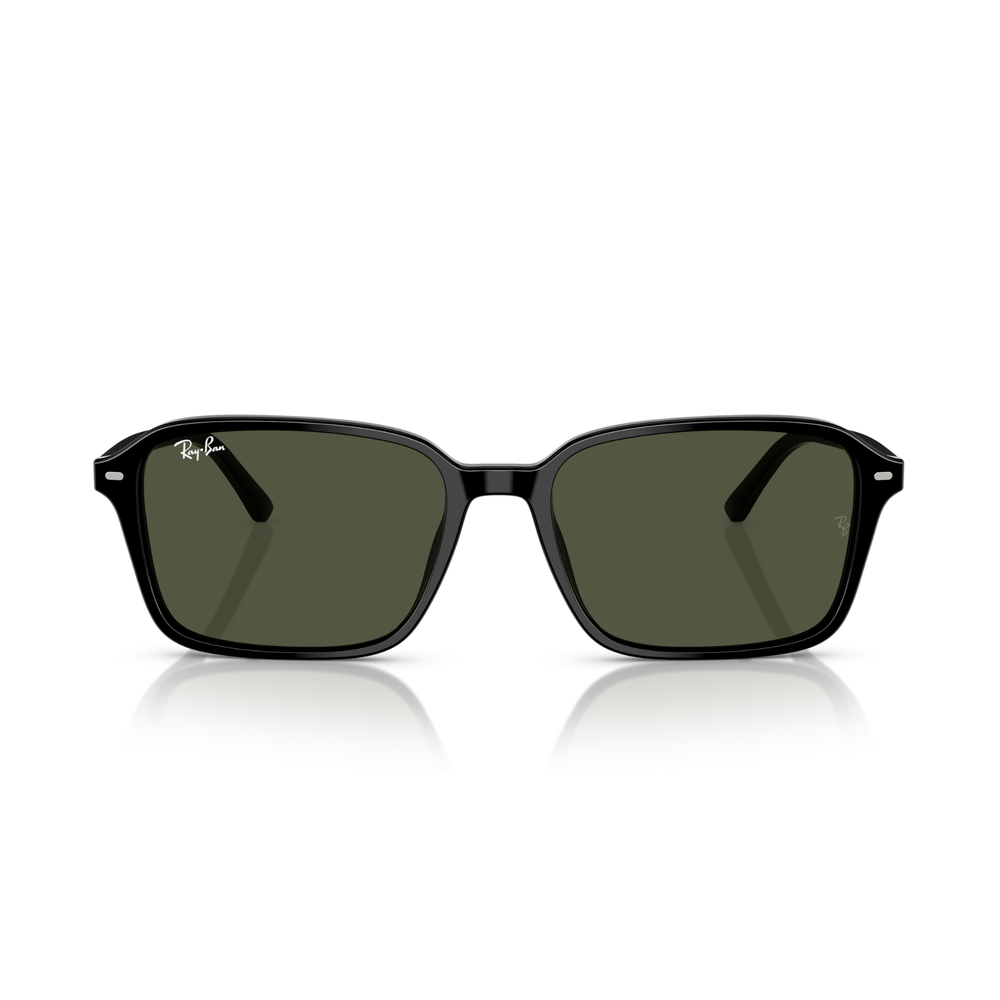 LENTE DE SOL RAY BAN - 0RB2231
