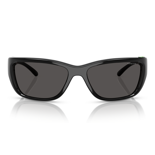 LENTE DE SOL ARNETTE - 0AN4353