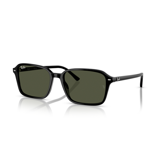 LENTE DE SOL RAY BAN - 0RB2231