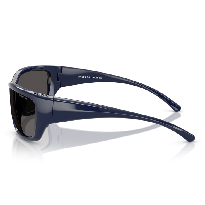 LENTE DE SOL ARNETTE - 0AN4353