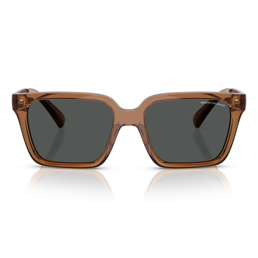 LENTE DE SOL ARMANI EXCHANGE - 0AX4147S