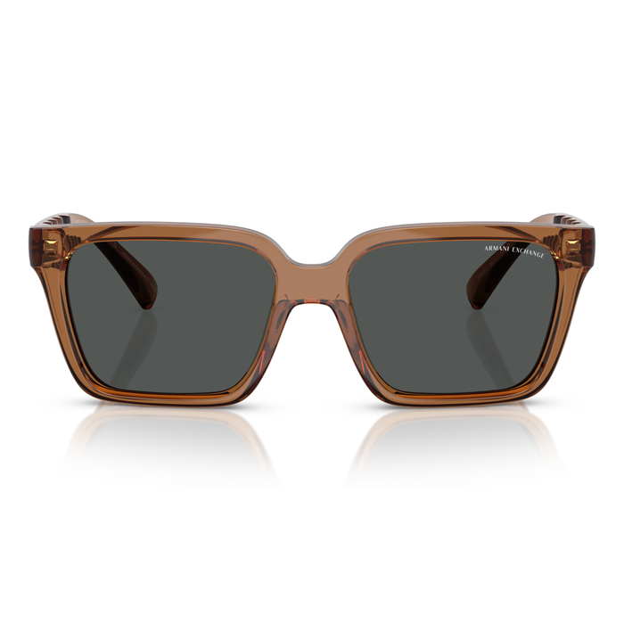 LENTE DE SOL ARMANI EXCHANGE - 0AX4147S