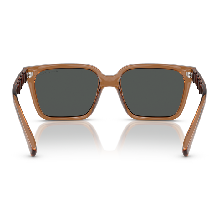 LENTE DE SOL ARMANI EXCHANGE - 0AX4147S