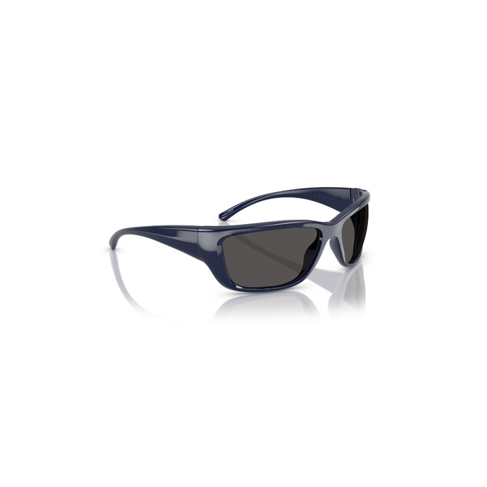 LENTE DE SOL ARNETTE - 0AN4353