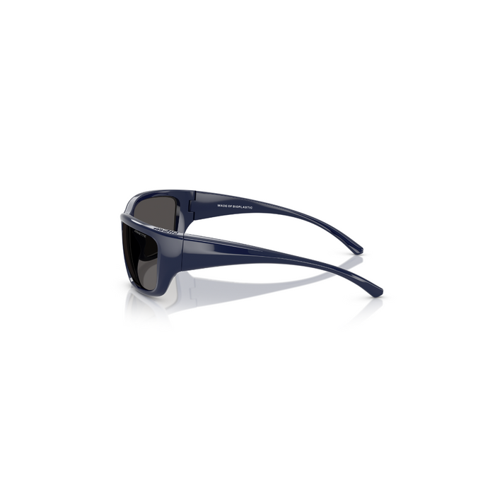 LENTE DE SOL ARNETTE - 0AN4353