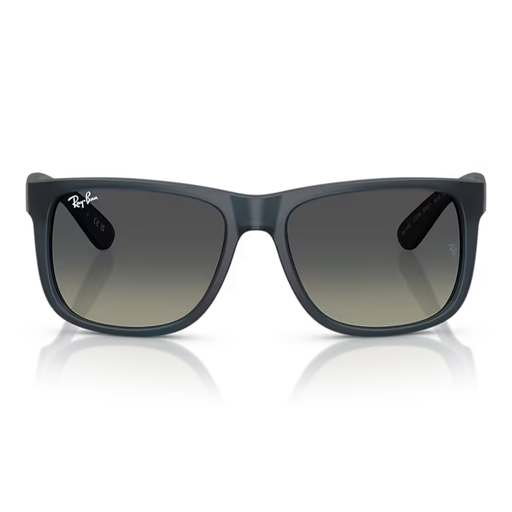 LENTES DE SOL RAY-BAN HOMBRE  - RB4165