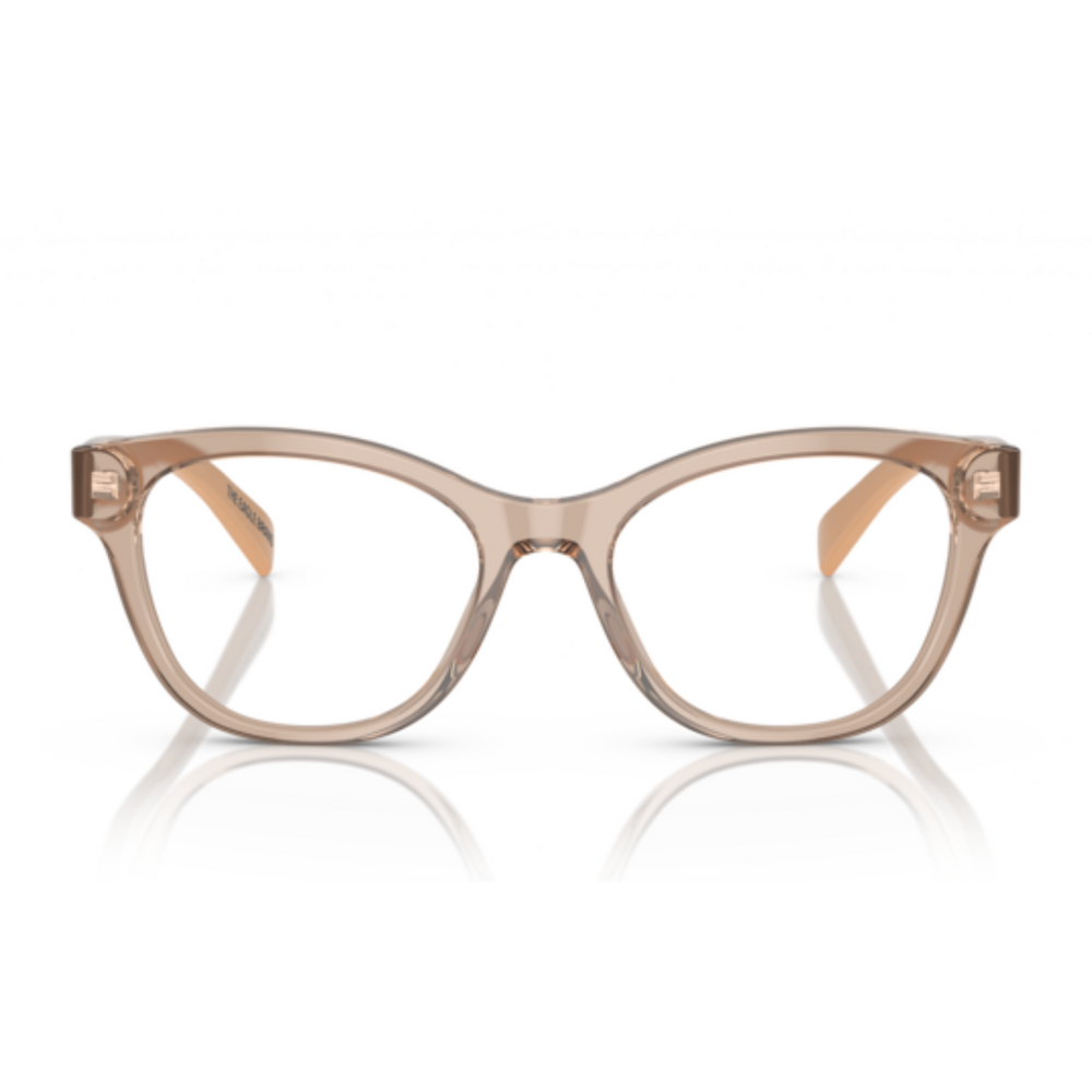 LENTE OFTALMICO EMPORIO ARMANI - 0EA3162