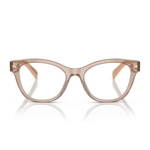 LENTE OFTALMICO EMPORIO ARMANI - 0EA3162