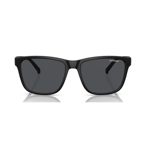 LENTE DE SOL ARNETTE - 0AN4255