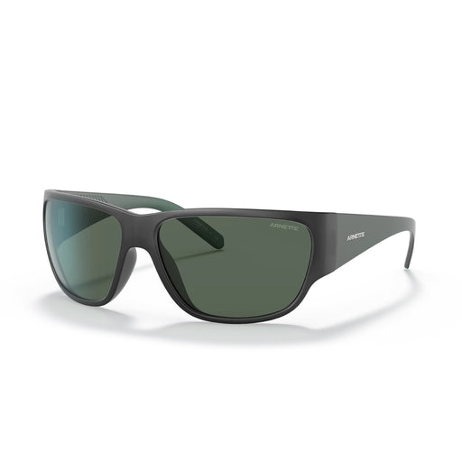 LENTE DE SOL ARNETTE - 0AN4280