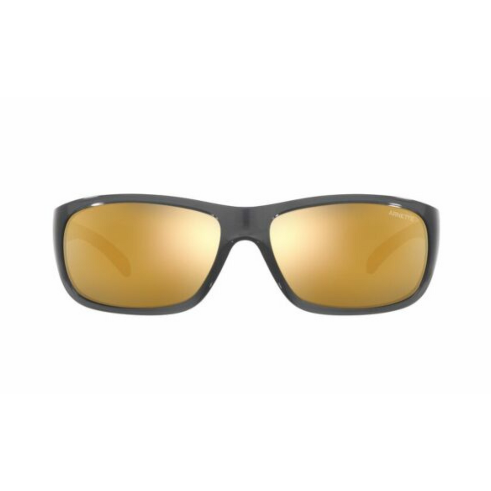 LENTE DE SOL ARNETTE - 0AN4290