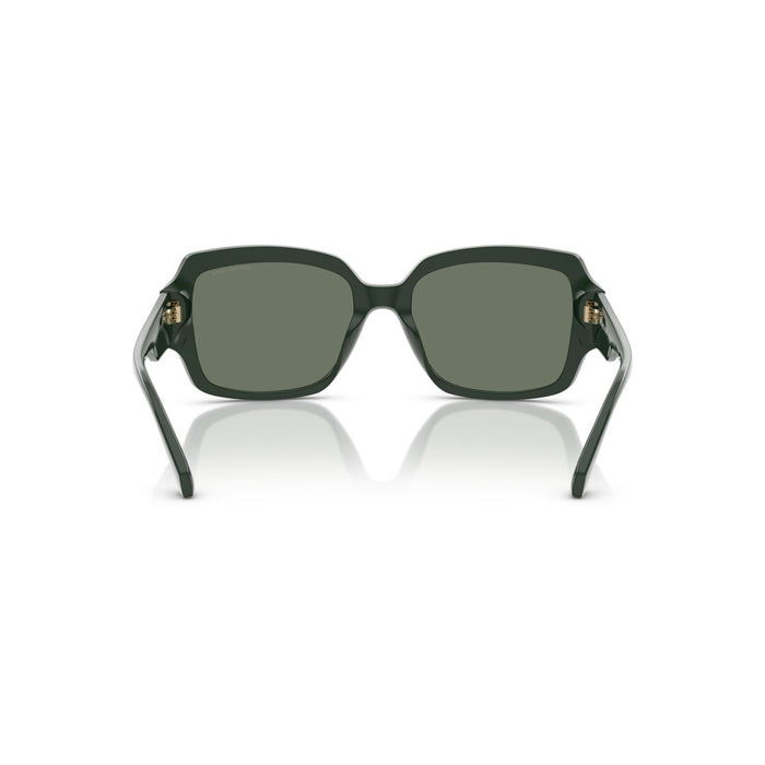 LENTE DE SOL MICHAEL KORS - 0MK2233B