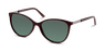 LENTE DE SOL - SOLARIS PO CL - SPOPCFF01#RRS