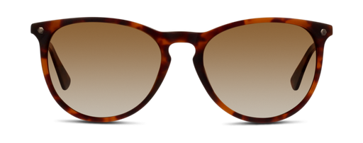 LENTE DE SOL - IN STYLE PO - INPILEU01P#HHS